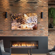 Electric Fireplace Reducing carbon footprint