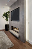 Luxury Fireplace Idea | Realistic Electric Fireplace Insert SKU: 80004